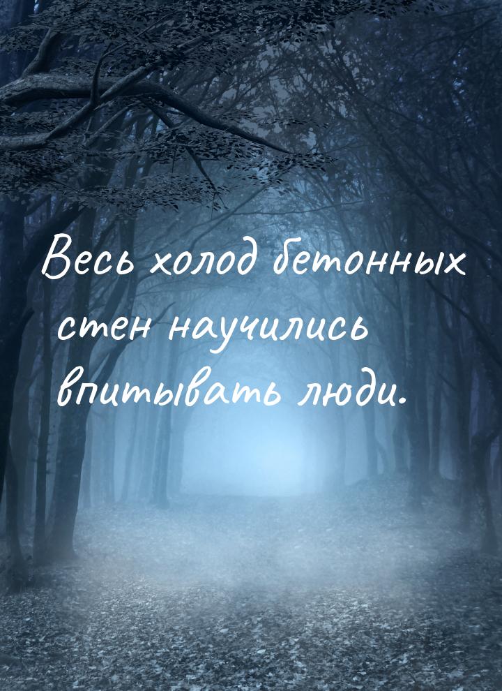 Весь холод бетонных стен научились впитывать люди.