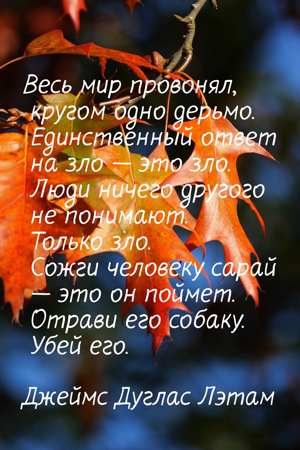 Весь мир провонял, кругом одно дерьмо. Единственный ответ на зло — это зло. Люди ничего др