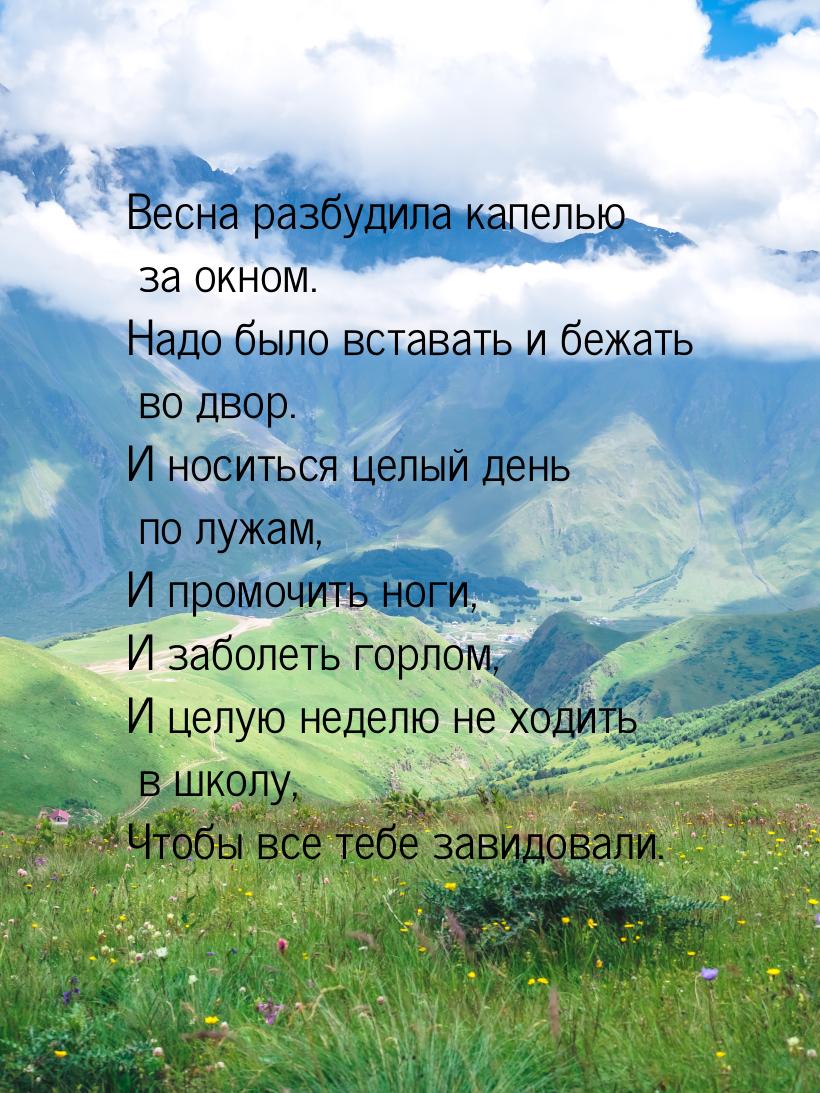 Весна разбудила капелью за окном. Надо было вставать и бежать во двор. И носиться целый де