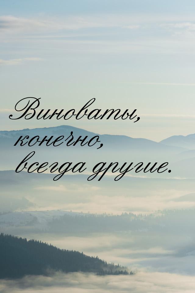 Виноваты, конечно, всегда другие.