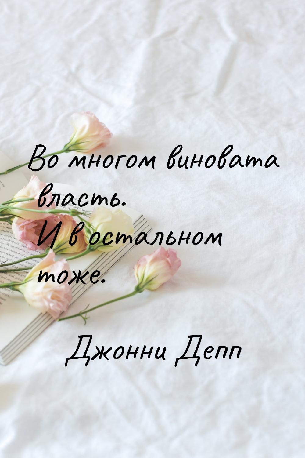 Во многом виновата власть. И в остальном тоже.