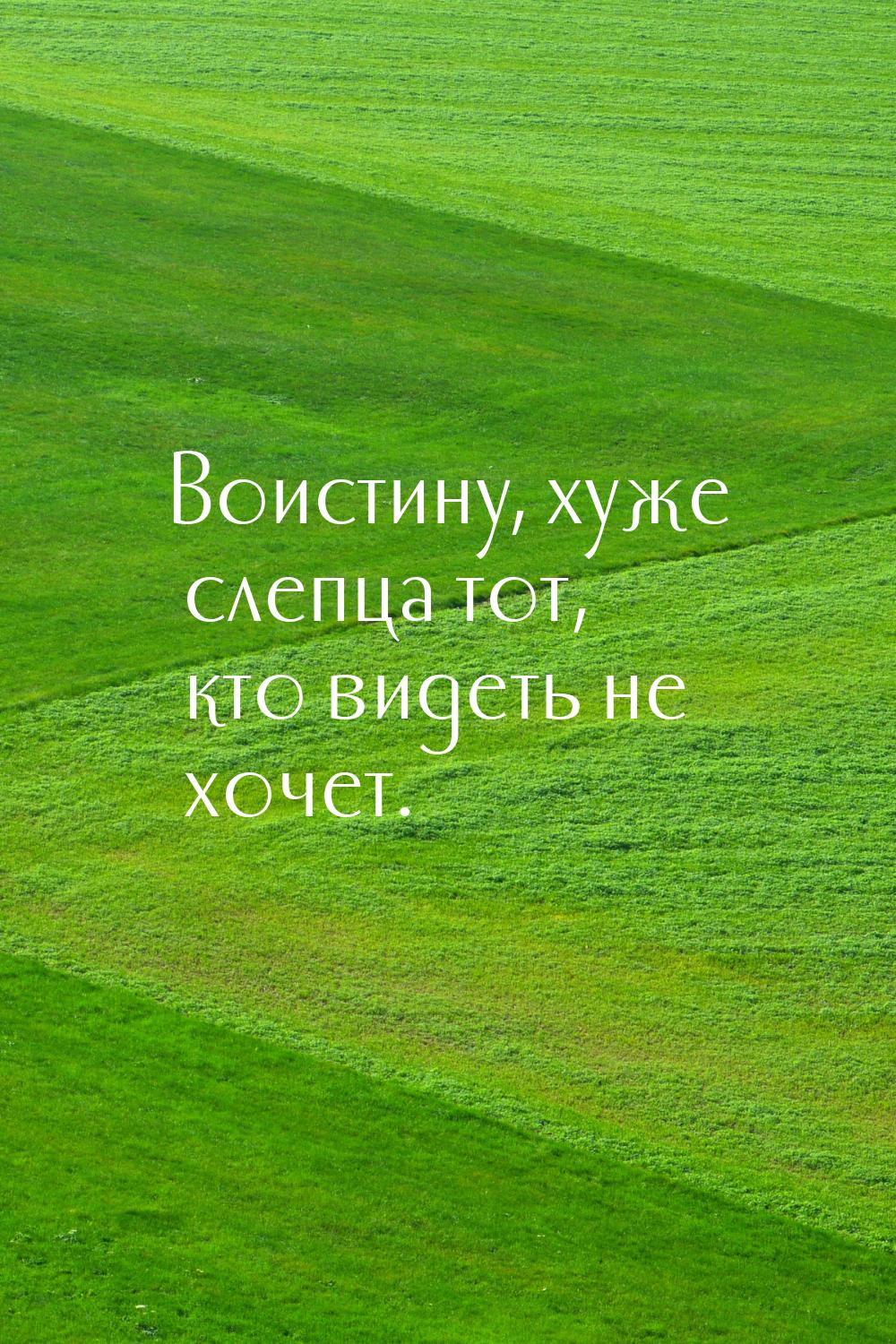 Воистину, хуже слепца тот, кто видеть не хочет.