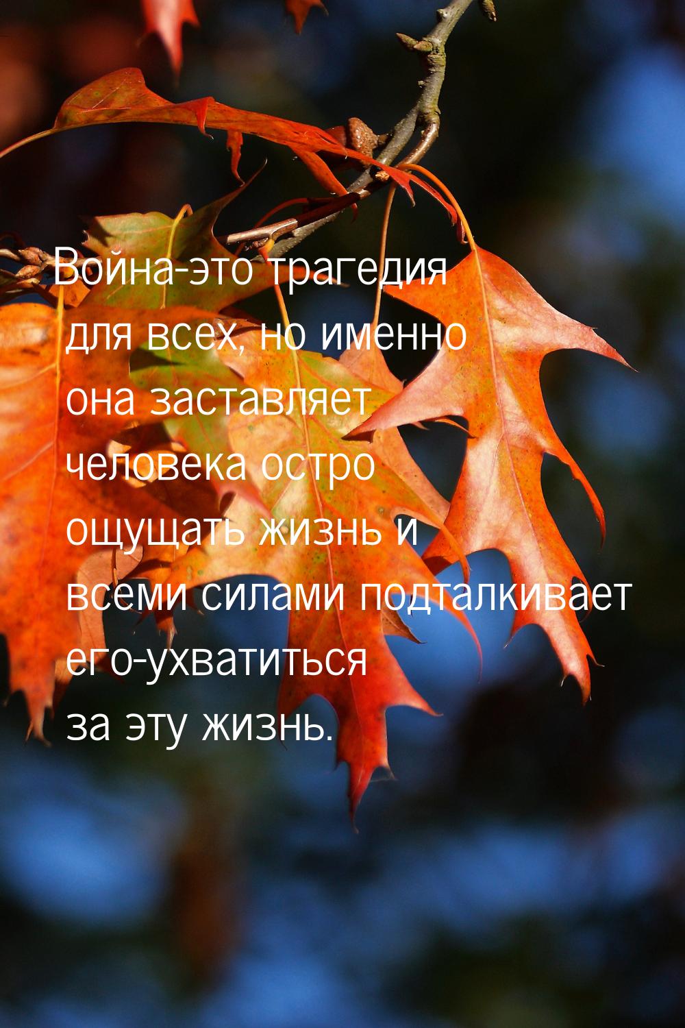 Война-это трагедия для всех, но именно она заставляет человека остро ощущать жизнь и всеми