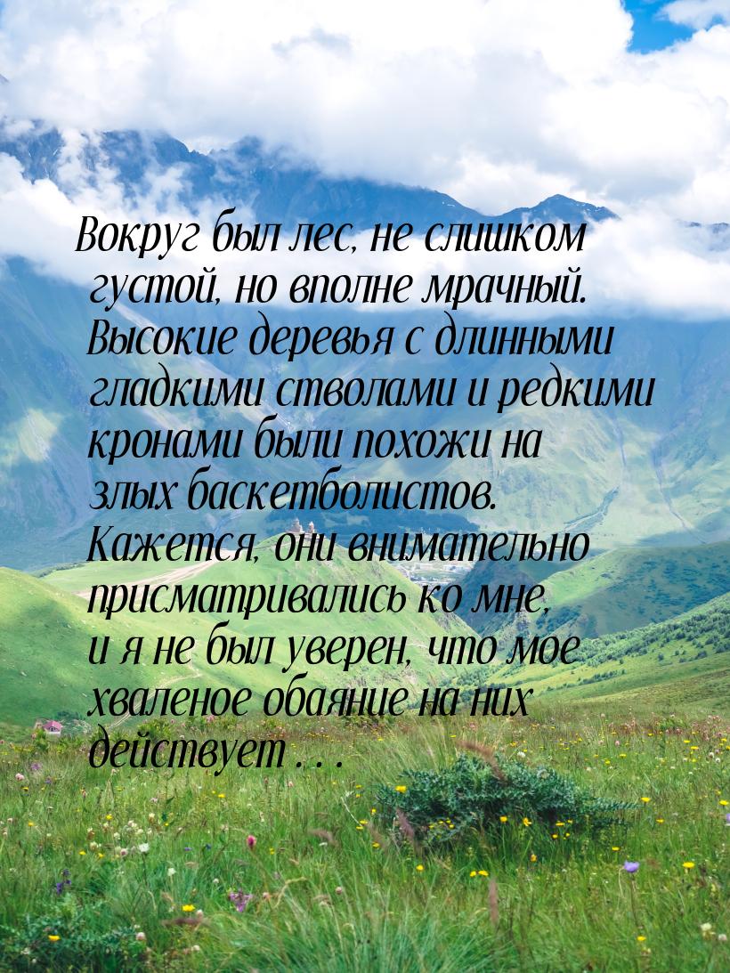 Вокруг был лес, не слишком густой, но вполне мрачный. Высокие деревья с длинными гладкими 