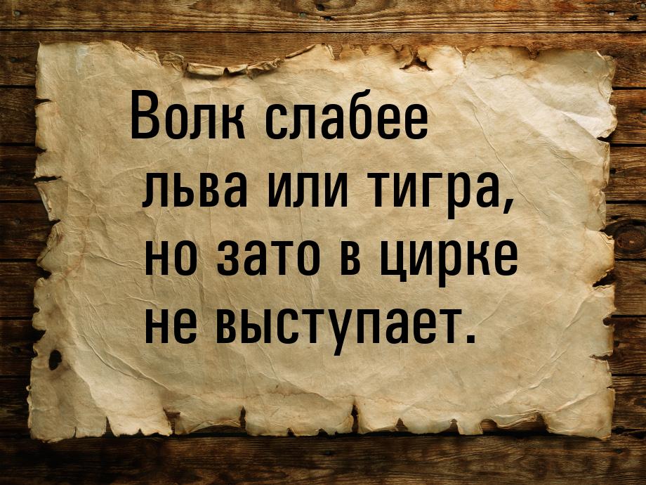 Волк слабее льва или тигра, но зато в цирке не выступает.