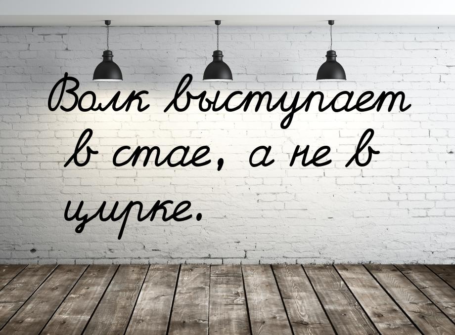 Волк выступает в стае, а не в цирке.