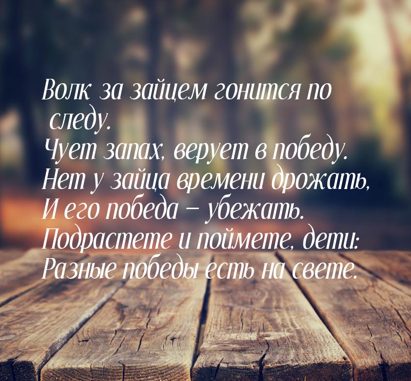 Волк за зайцем гонится по следу. Чует запах, верует в победу. Нет у зайца времени дрожать,