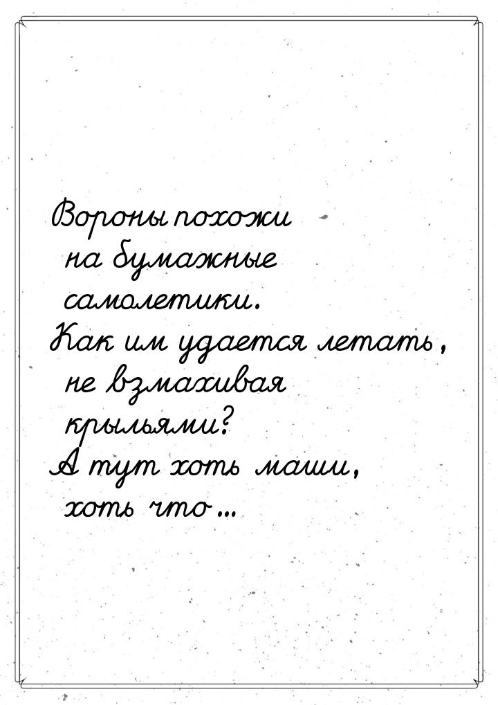 Вороны похожи на бумажные самолетики. Как им удается летать, не взмахивая крыльями? А тут 