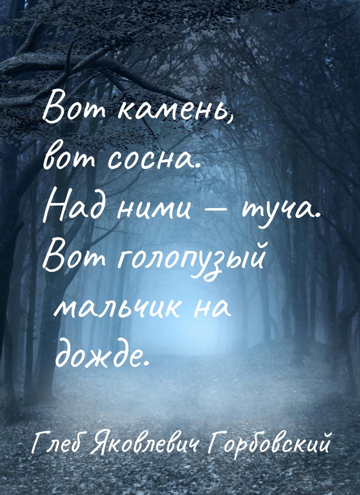 Вот камень, вот сосна. Над ними  туча. Вот голопузый мальчик на дожде.