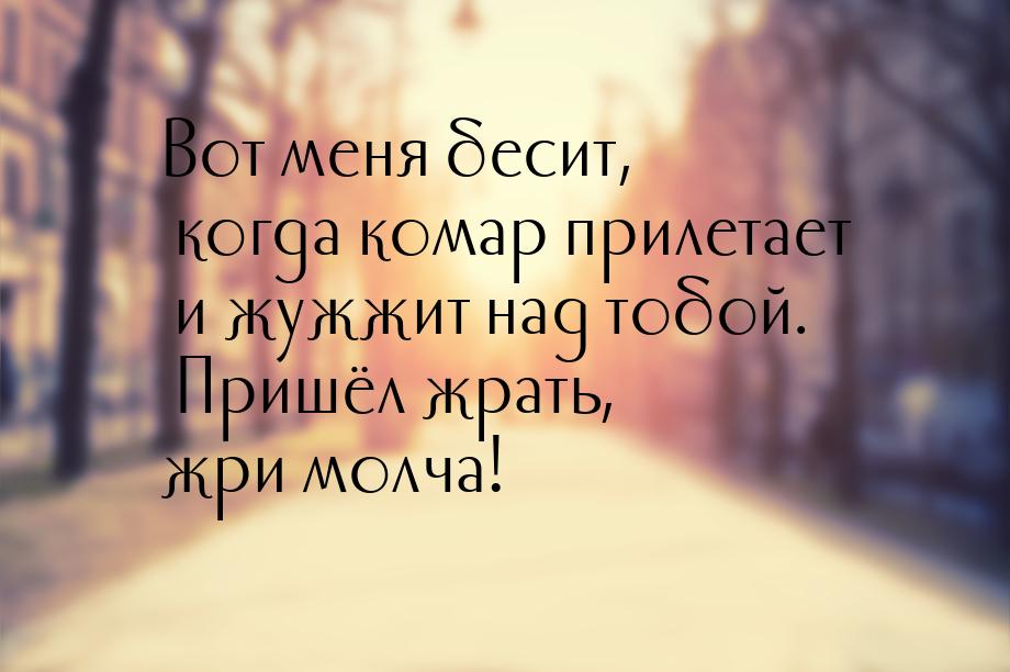 Вот меня бесит, когда комар прилетает и жужжит над тобой. Пришёл жрать, жри молча!