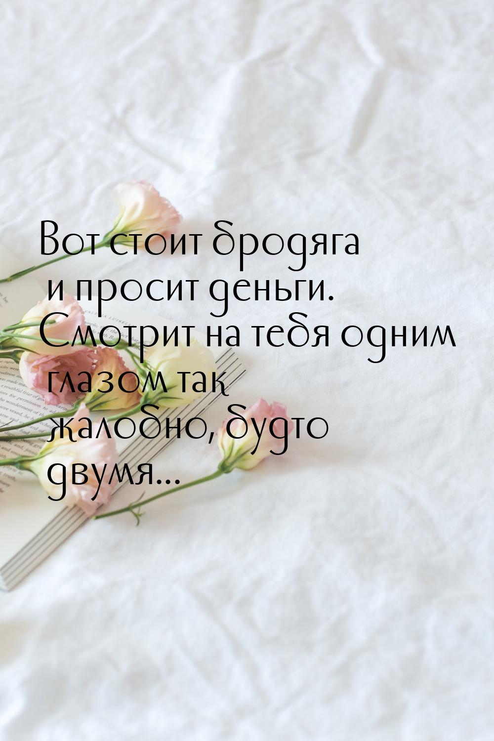 Вот стоит бродяга и просит деньги. Смотрит на тебя одним глазом так жалобно, будто двумя..