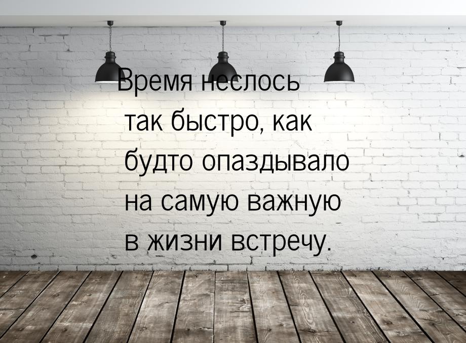 Время неслось так быстро, как будто опаздывало на самую важную в жизни встречу.