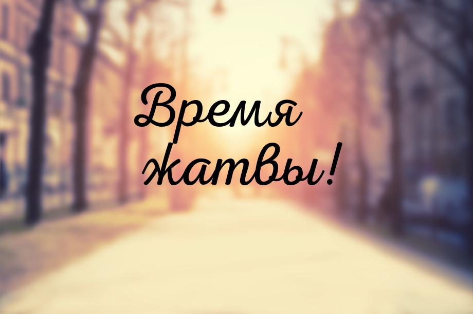 Время жатвы!