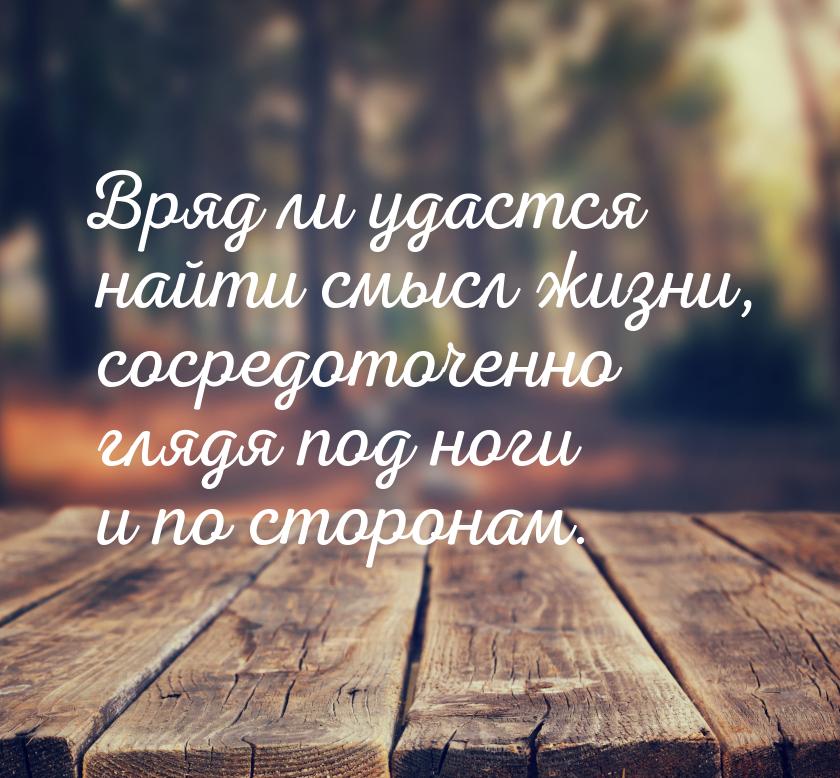 Вряд ли удастся найти смысл жизни, сосредоточенно глядя под ноги и по сторонам.