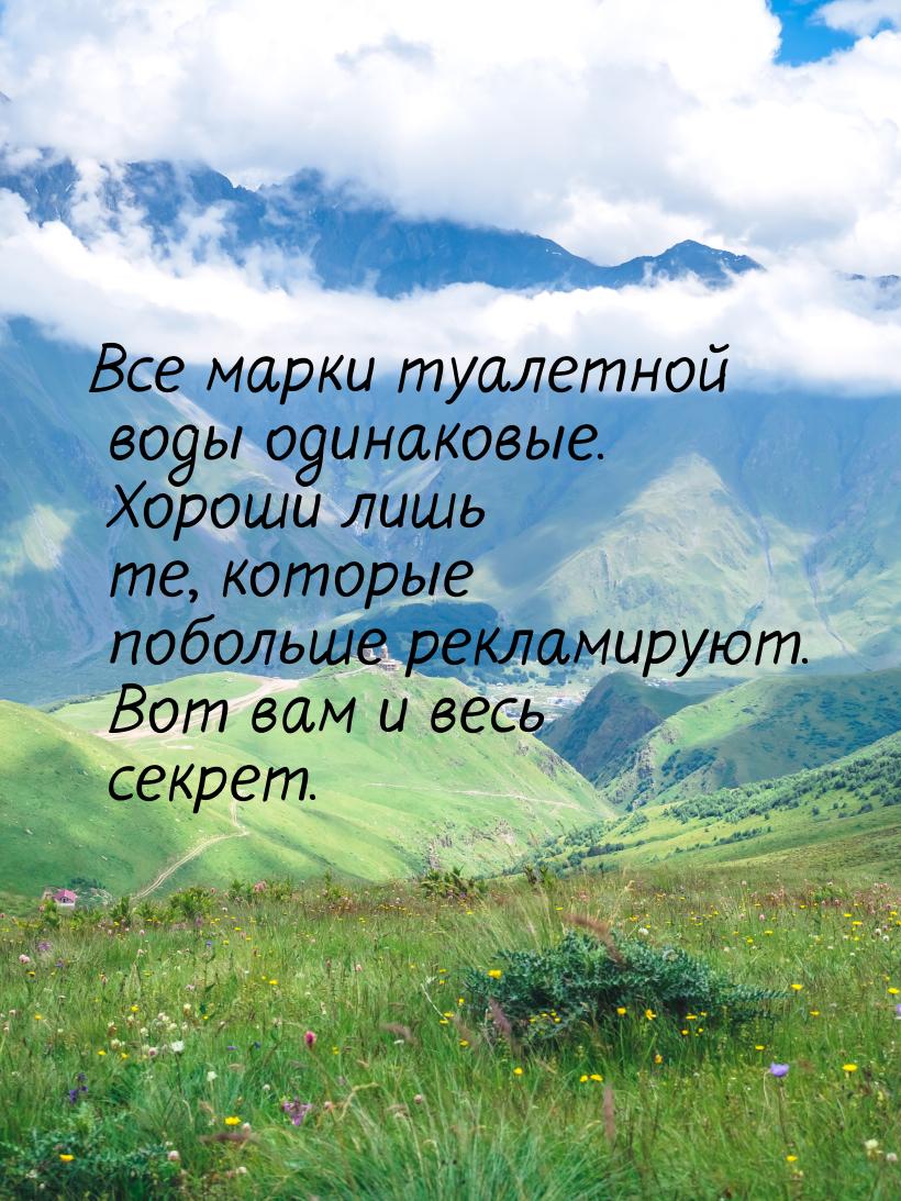 Все марки туалетной воды одинаковые. Хороши лишь те, которые побольше рекламируют. Вот вам