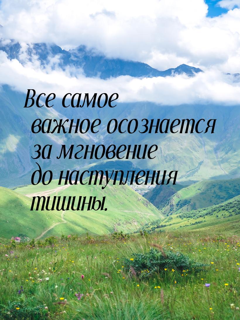 Все самое важное осознается за мгновение до наступления тишины.