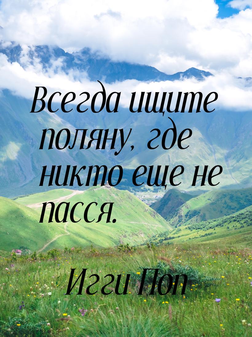 Всегда ищите поляну, где никто еще не пасся.