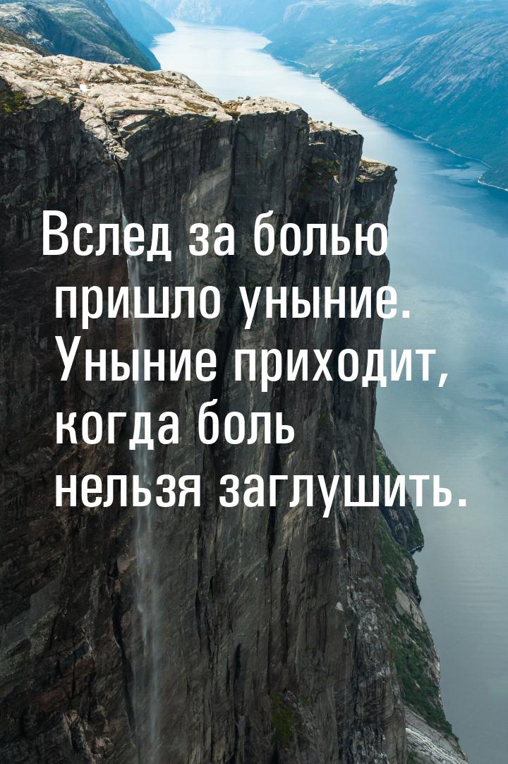 Вслед за болью пришло уныние. Уныние приходит, когда боль нельзя заглушить.