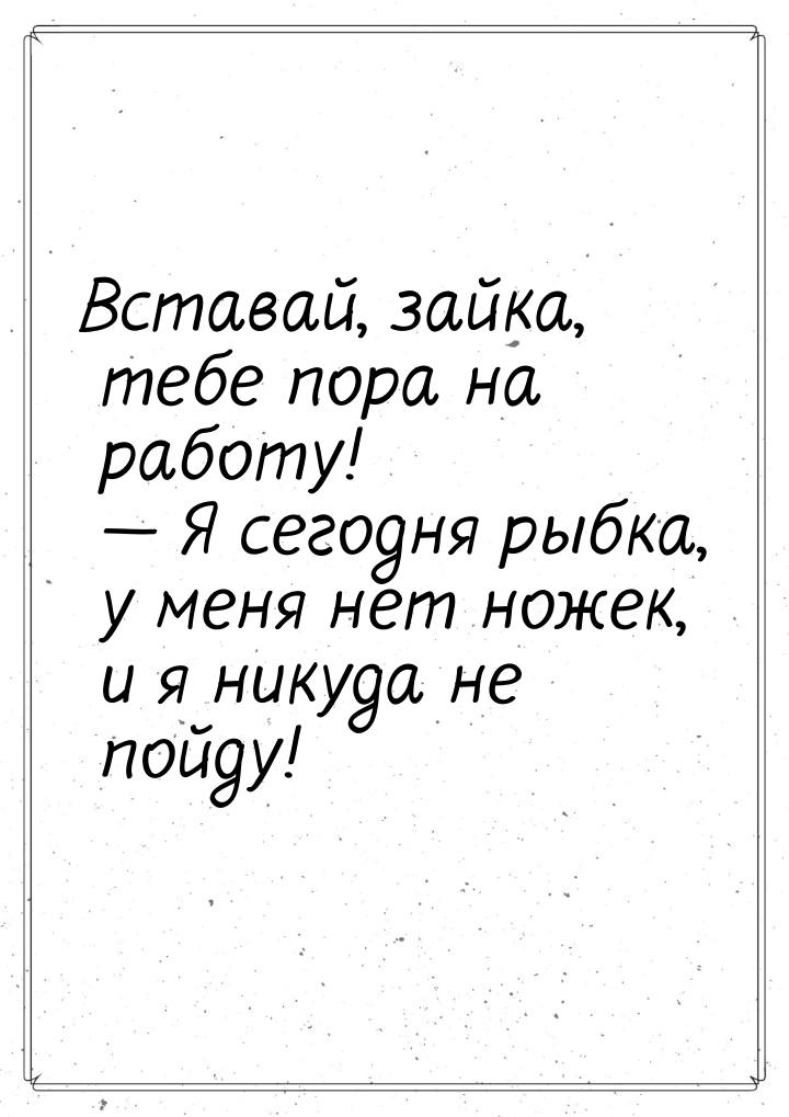 Вставай, зайка, тебе пора на работу!  Я сегодня рыбка, у меня нет ножек, и я никуда