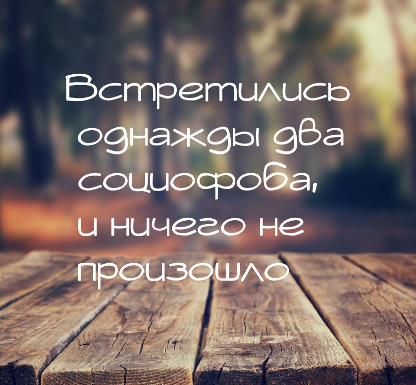Встретились однажды два социофоба, и ничего не произошло