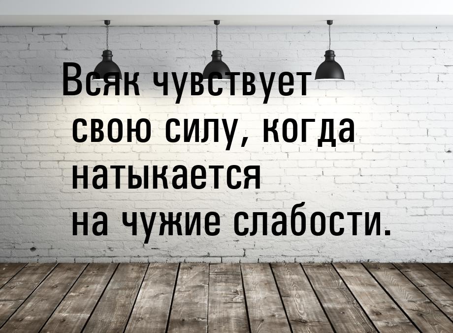 Всяк чувствует свою силу, когда натыкается на чужие слабости.