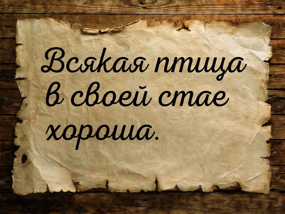 Всякая птица в своей стае хороша.