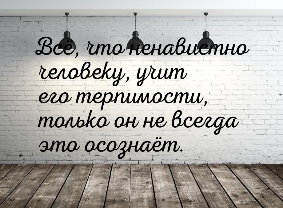 Всё, что ненавистно человеку, учит его терпимости, только он не всегда это осознаёт.