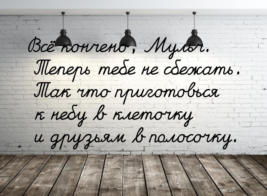 Всё кончено, Мульч. Теперь тебе не сбежать. Так что приготовься к небу в клеточку и друзья