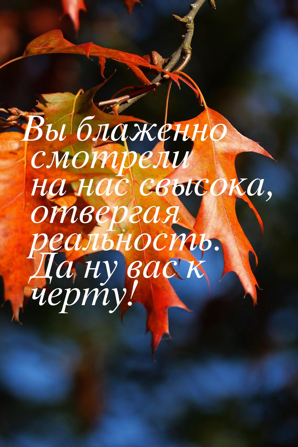 Вы блаженно смотрели на нас свысока, отвергая реальность. Да ну вас к черту!