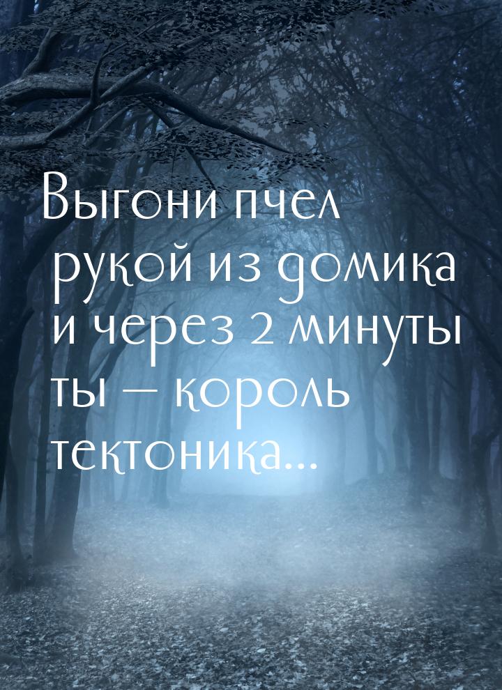 Выгони пчел рукой из домика и через 2 минуты ты  король тектоника...