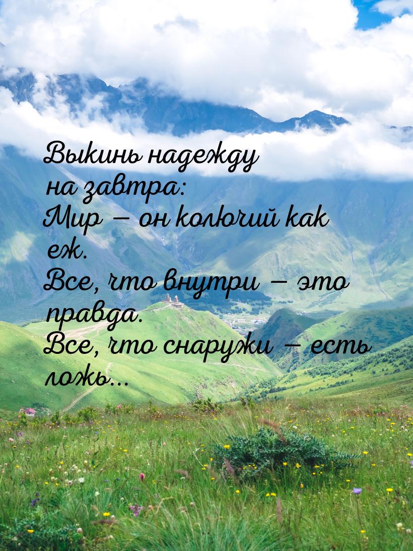 Выкинь надежду на завтра: Мир  он колючий как еж. Все, что внутри  это правд