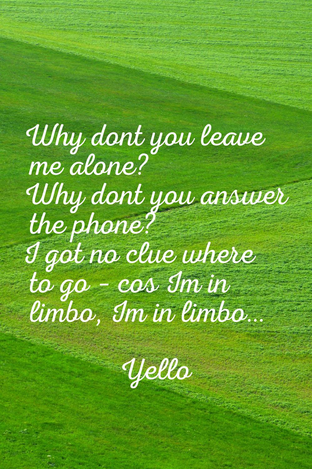 Why dont you leave me alone? Why dont you answer the phone? I got no clue where to go – co