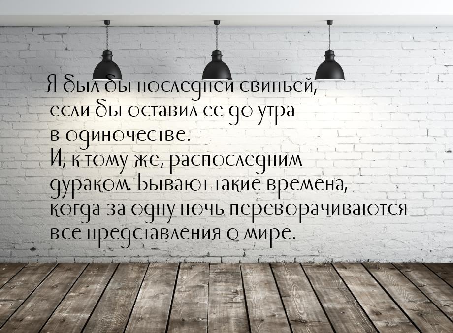 Я был бы последней свиньей, если бы оставил ее до утра в одиночестве. И, к тому же, распос