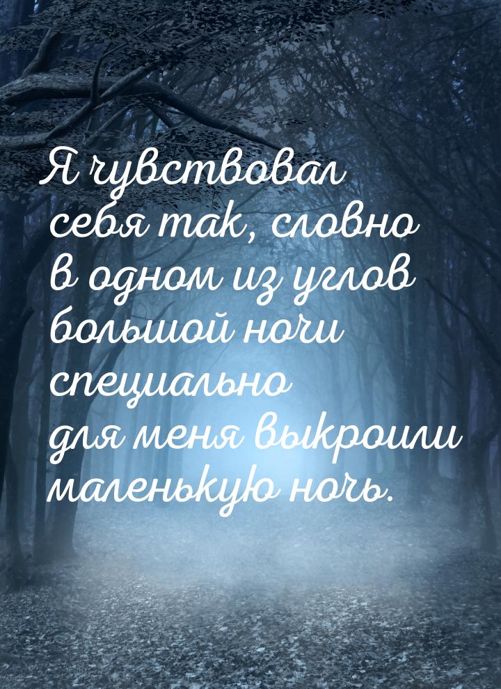 Я чувствовал себя так, словно в одном из углов большой ночи специально для меня выкроили м