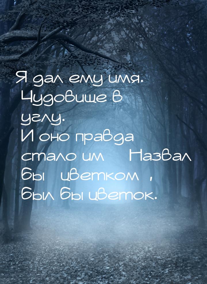 Я дал ему имя. Чудовище в углу. И оно правда стало им… Назвал бы «цветком», был бы цветок.