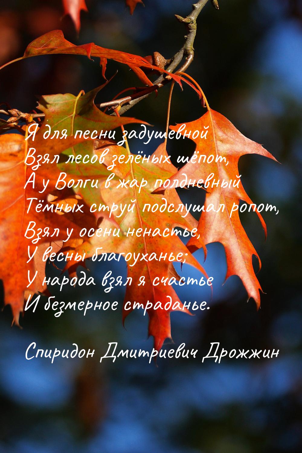 Я для песни задушевной Взял лесов зелёных шёпот, А у Волги в жар полдневный Тёмных струй п