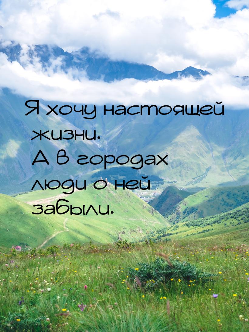 Я хочу настоящей жизни. А в городах люди о ней забыли.