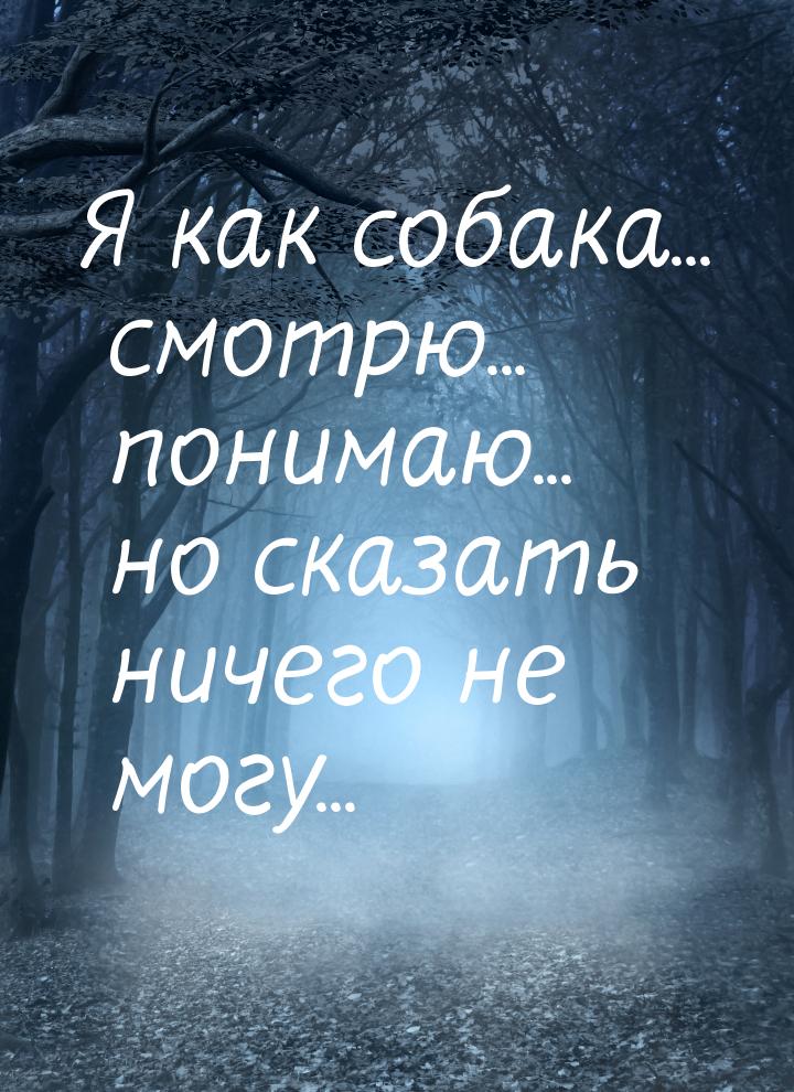 Я как собака... смотрю... понимаю... но сказать ничего не могу...