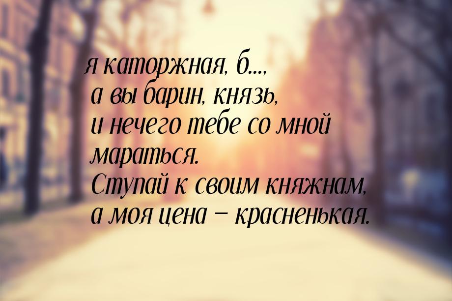 я каторжная, б..., а вы барин, князь, и нечего тебе со мной мараться. Ступай к своим княжн