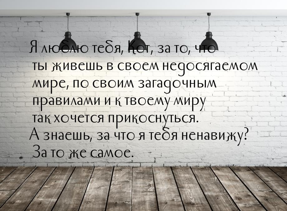 Я люблю тебя, Кот, за то, что ты живешь в своем недосягаемом мире, по своим загадочным пра