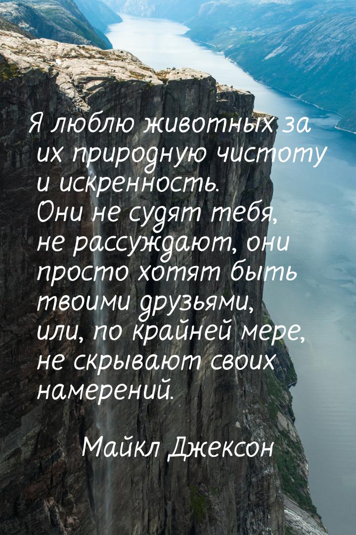 Я люблю животных за их природную чистоту и искренность. Они не судят тебя, не рассуждают, 