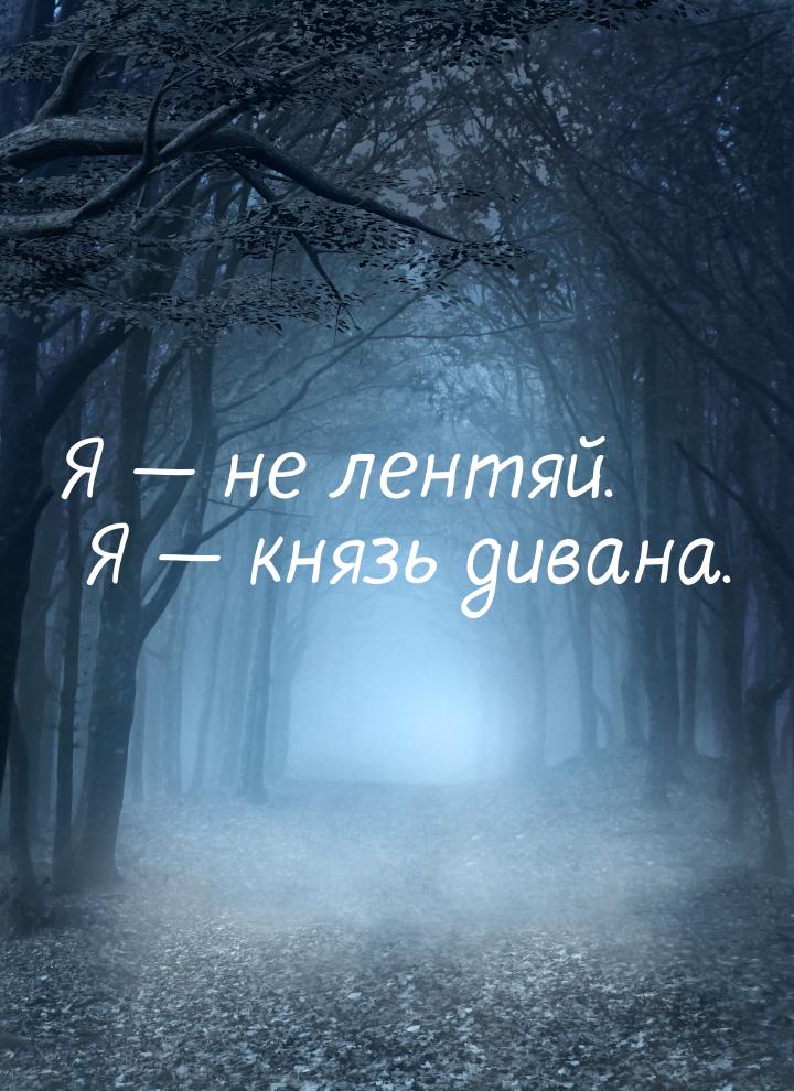 Я  не лентяй. Я  князь дивана.