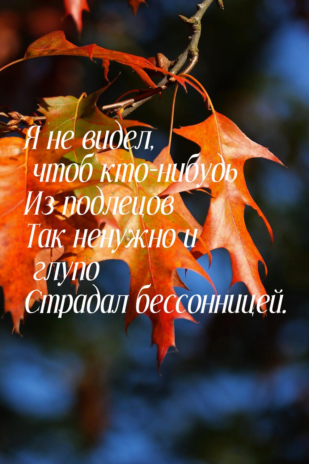 Я не видел, чтоб кто-нибудь Из подлецов Так ненужно и глупо Страдал бессонницей.