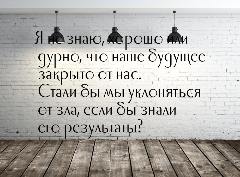 Я не знаю, хорошо или дурно, что наше будущее закрыто от нас. Стали бы мы уклоняться от зл