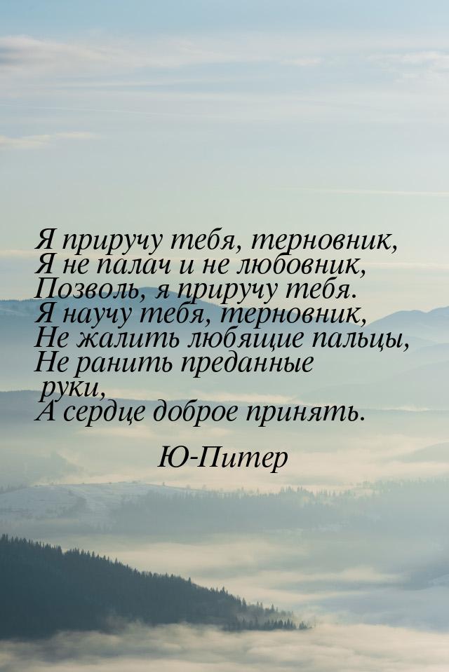 Я приручу тебя, терновник, Я не палач и не любовник, Позволь, я приручу тебя. Я научу тебя