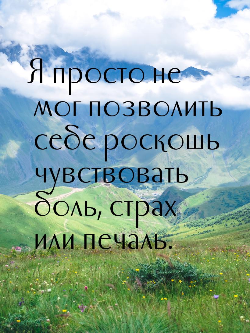 Я просто не мог позволить себе роскошь чувствовать боль, страх или печаль.