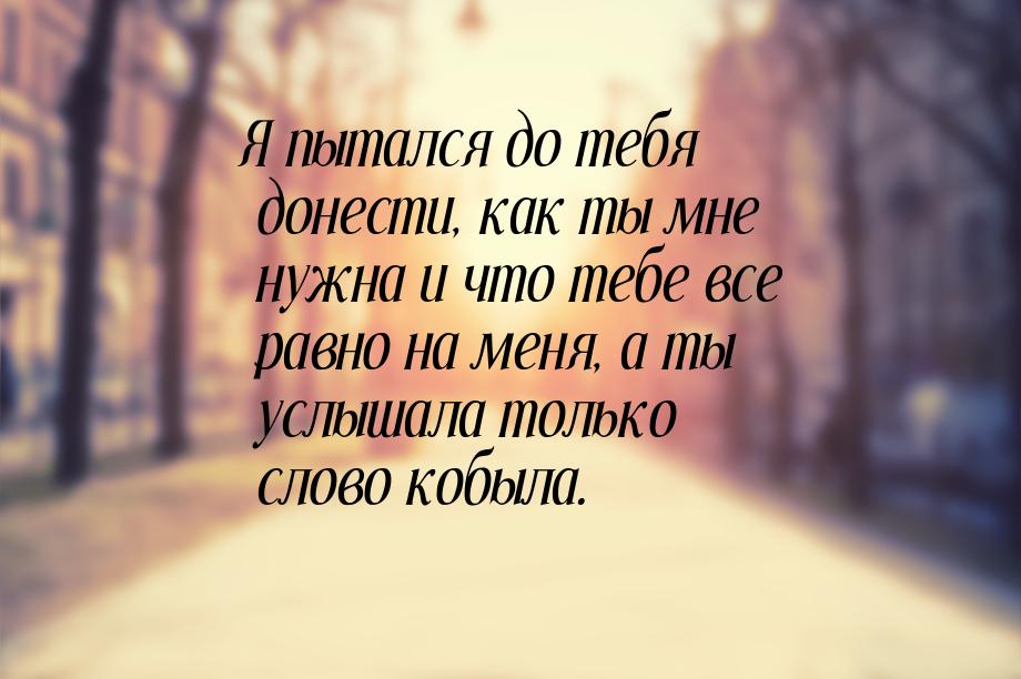 Я пытался до тебя донести, как ты мне нужна и что тебе все равно на меня, а ты услышала то