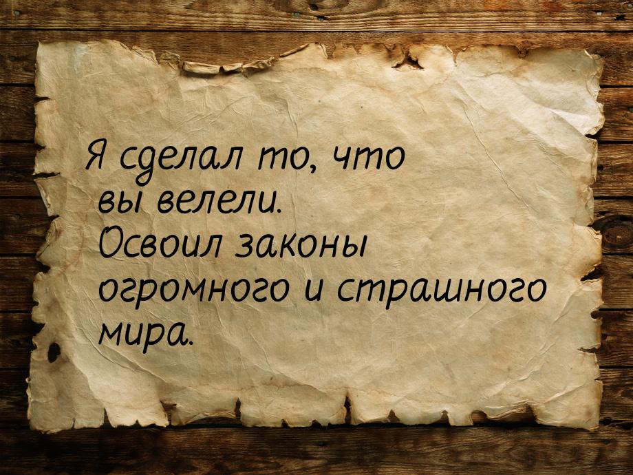 Я сделал то, что вы велели. Освоил законы огромного и страшного мира.