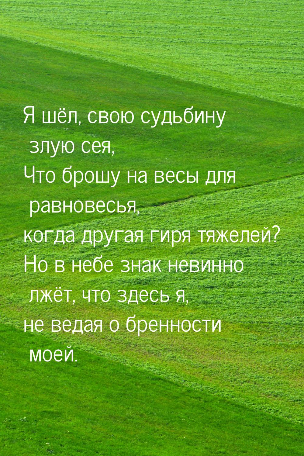 Я шёл, свою судьбину злую сея, Что брошу на весы для равновесья, когда другая гиря тяжелей