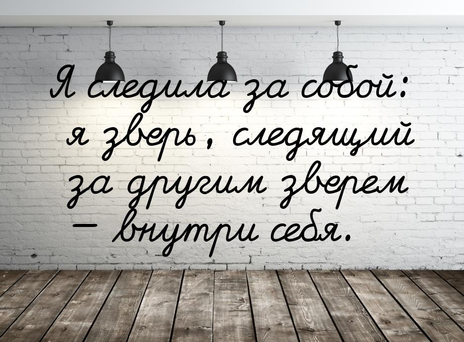 Я следила за собой: я зверь, следящий за другим зверем  внутри себя.